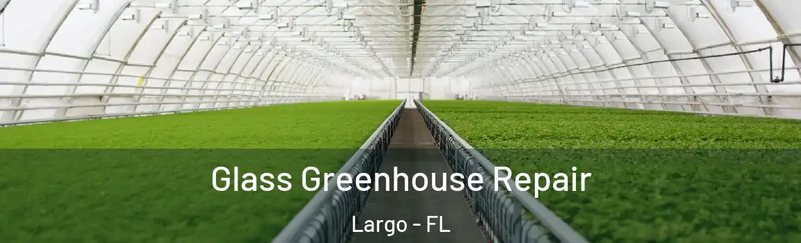  Glass Greenhouse Repair Largo - FL