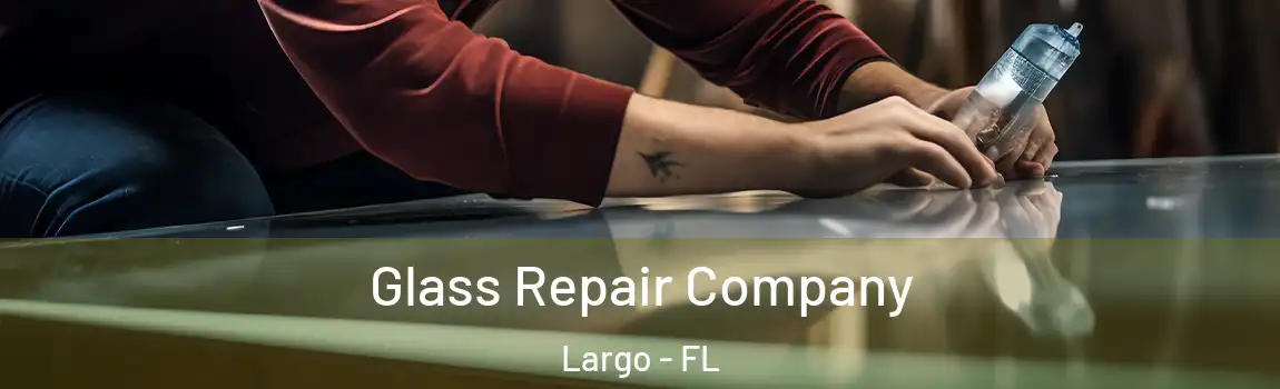  Glass Repair Company Largo - FL