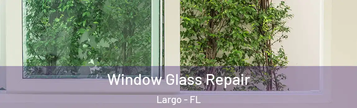  Window Glass Repair Largo - FL