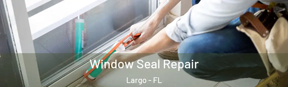  Window Seal Repair Largo - FL